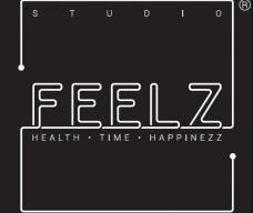 Studio Feelz